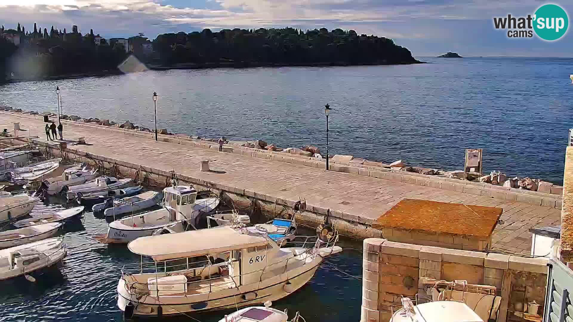 Rovinj webcam promenade and marina – Istria – Croatia