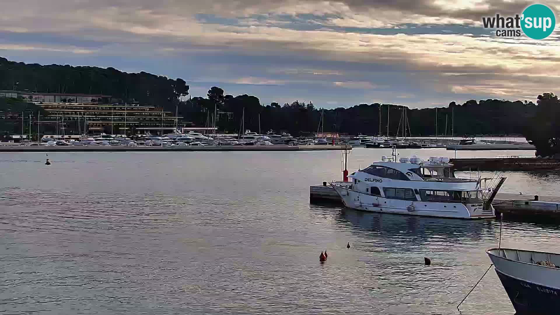 Rovinj webcam promenade and marina – Istria – Croatia