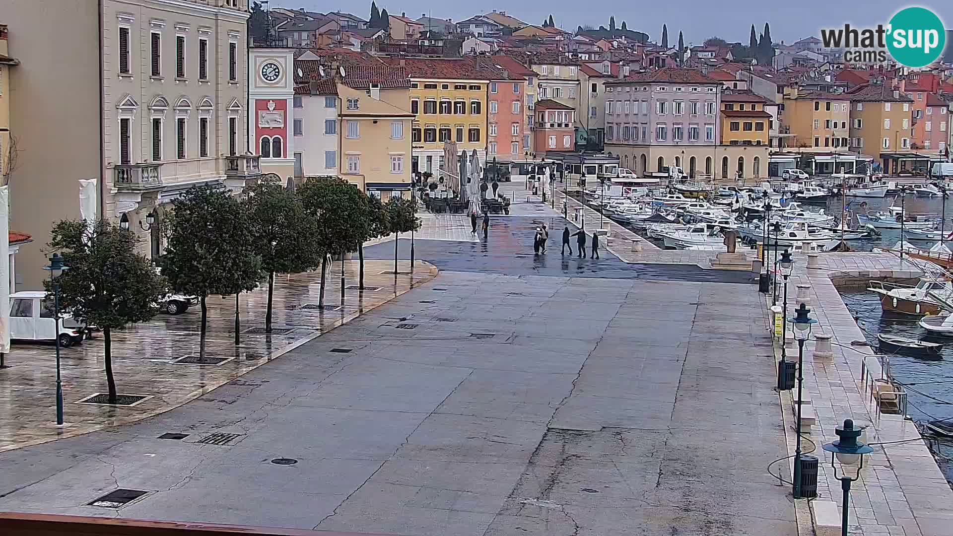 Promenada i marina u Rovinju