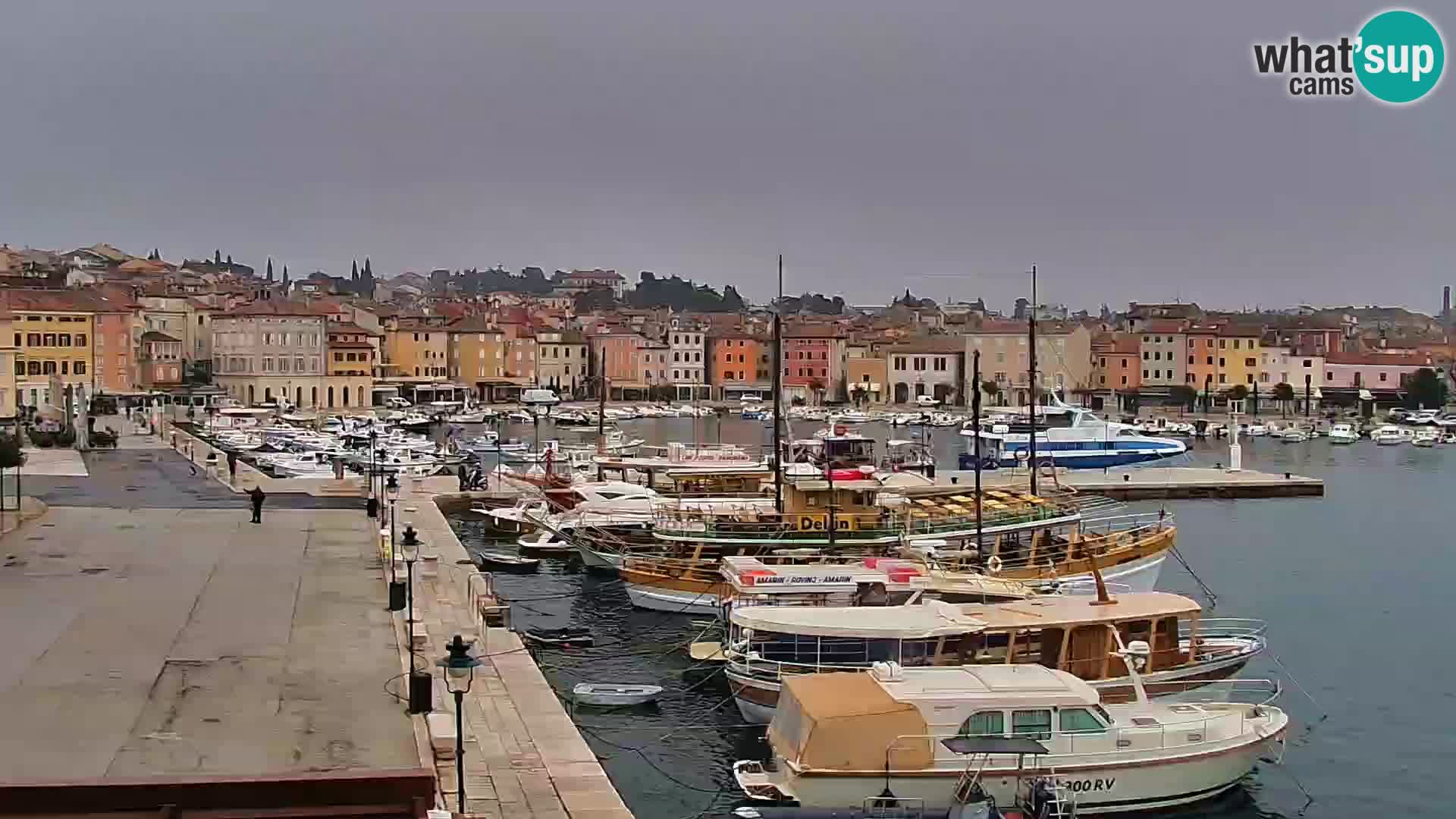 Promenada i marina u Rovinju