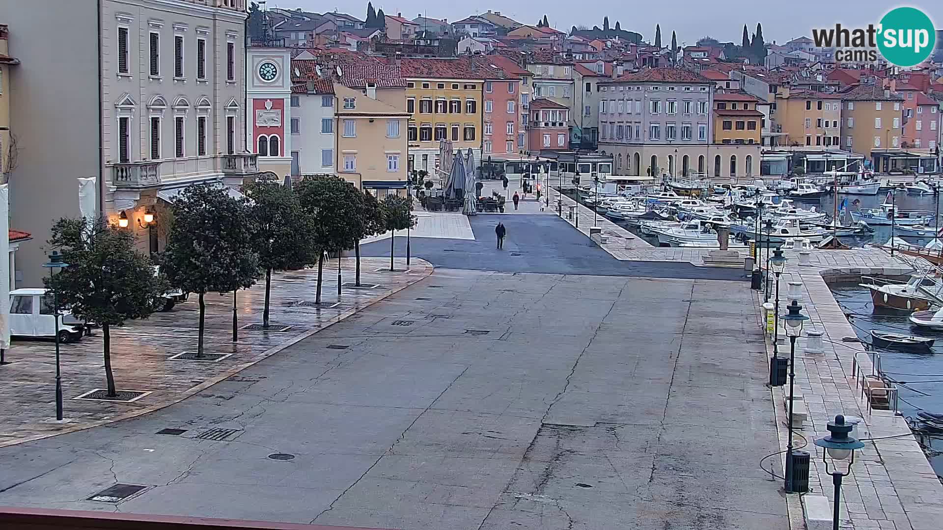 Webcam Rovigno marina | Lungomare | Rovinj Croazia