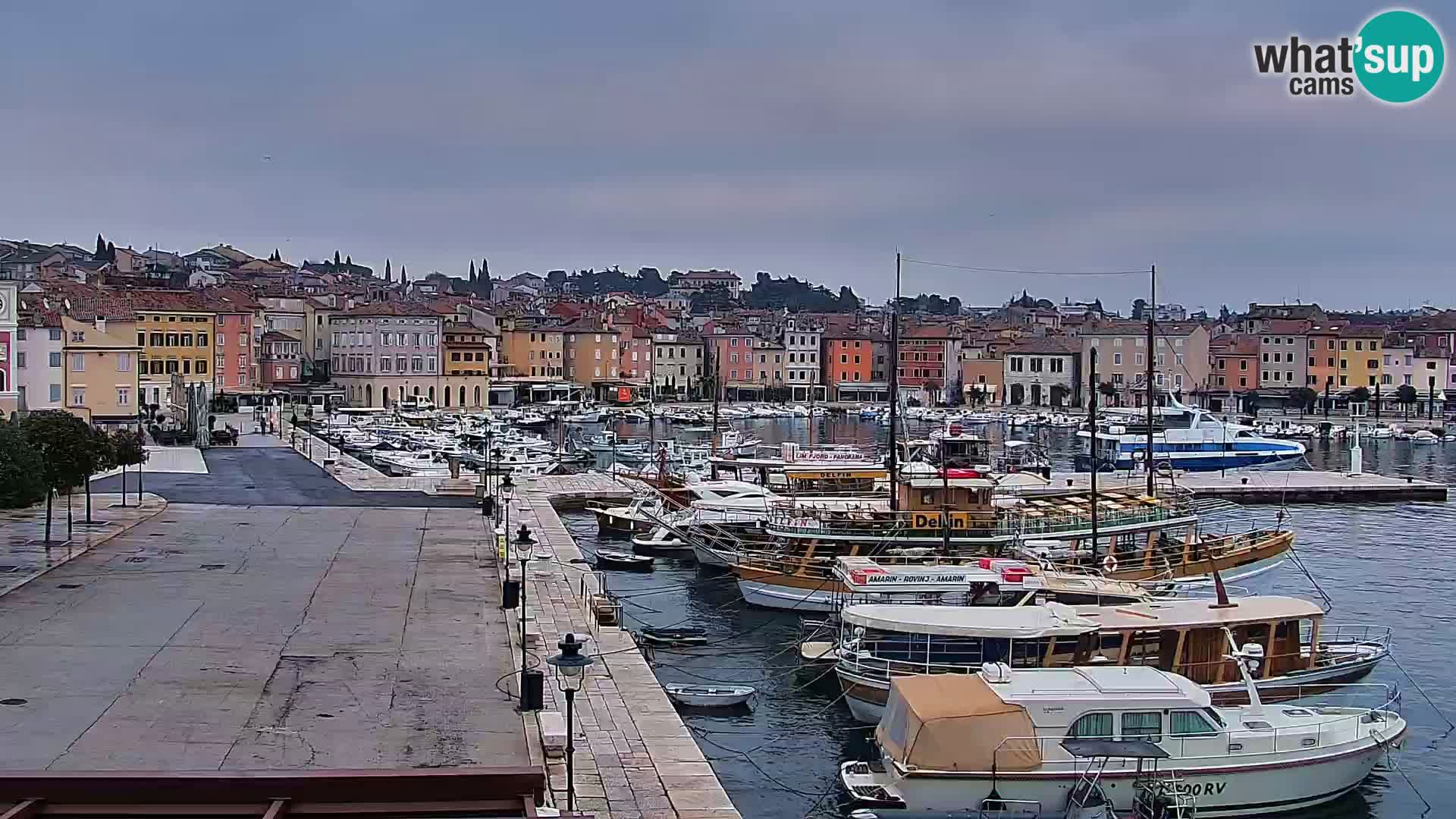 Rovinj webcam promenade and marina – Istria – Croatia