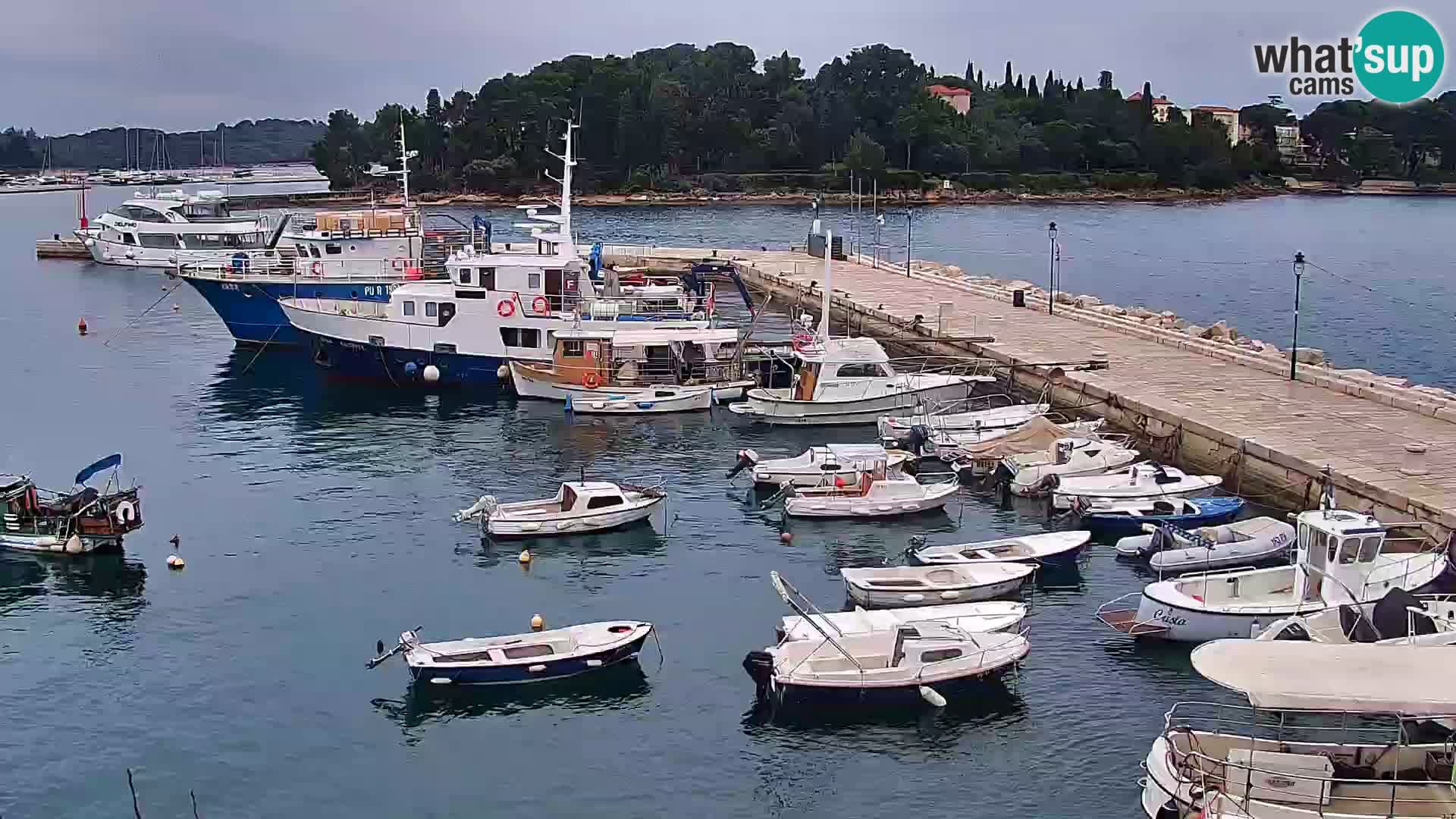 Rovinj webcam promenade and marina – Istria – Croatia