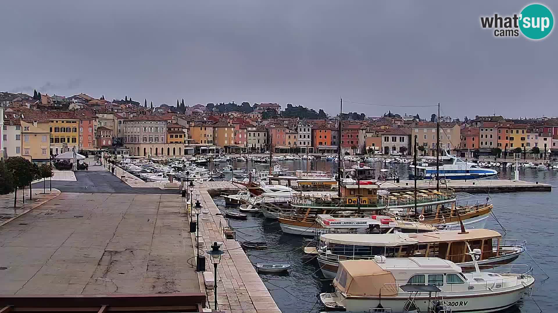 Rovinj webcam promenade and marina – Istria – Croatia