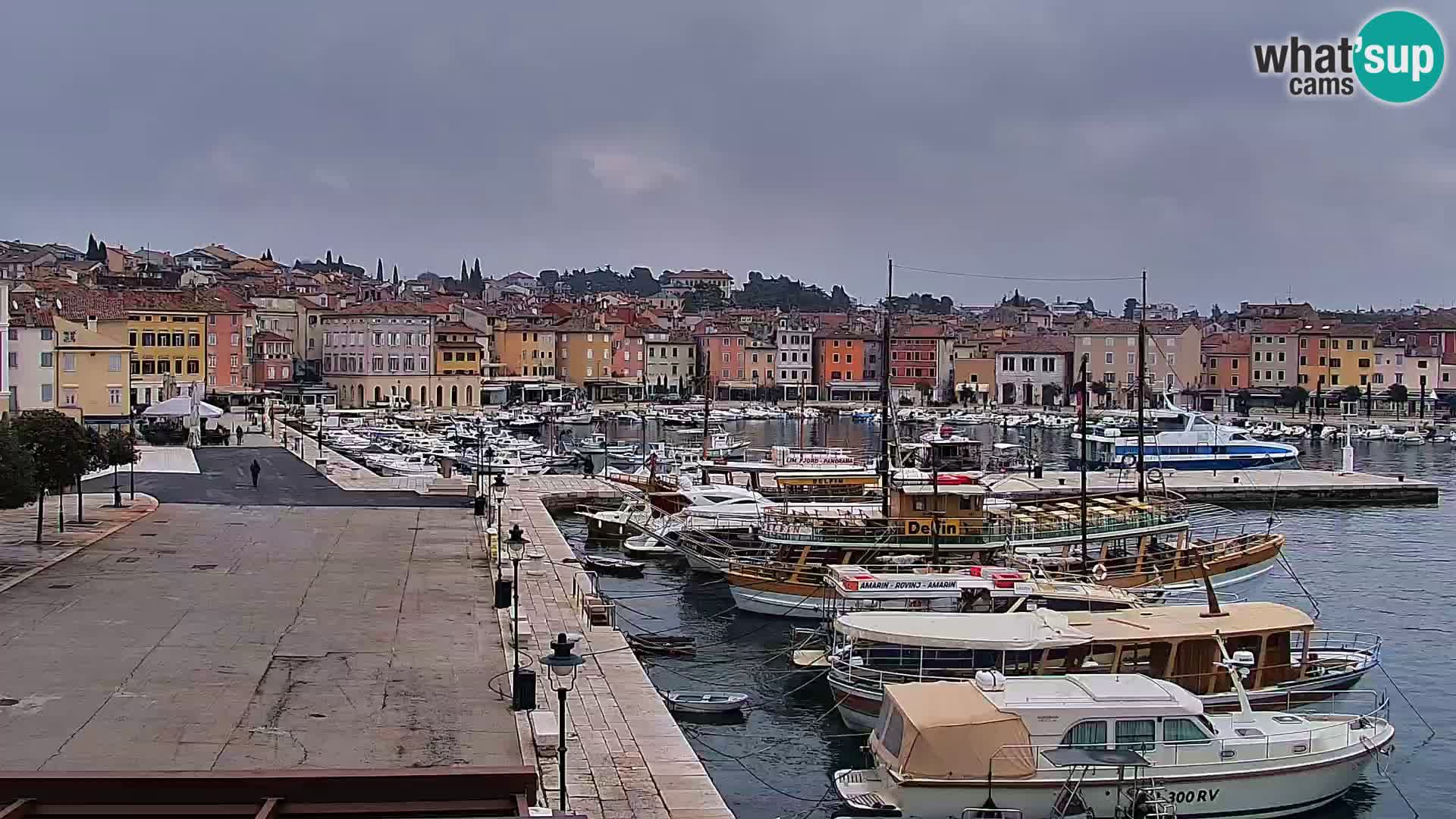 Promenade e marina en Rovinj