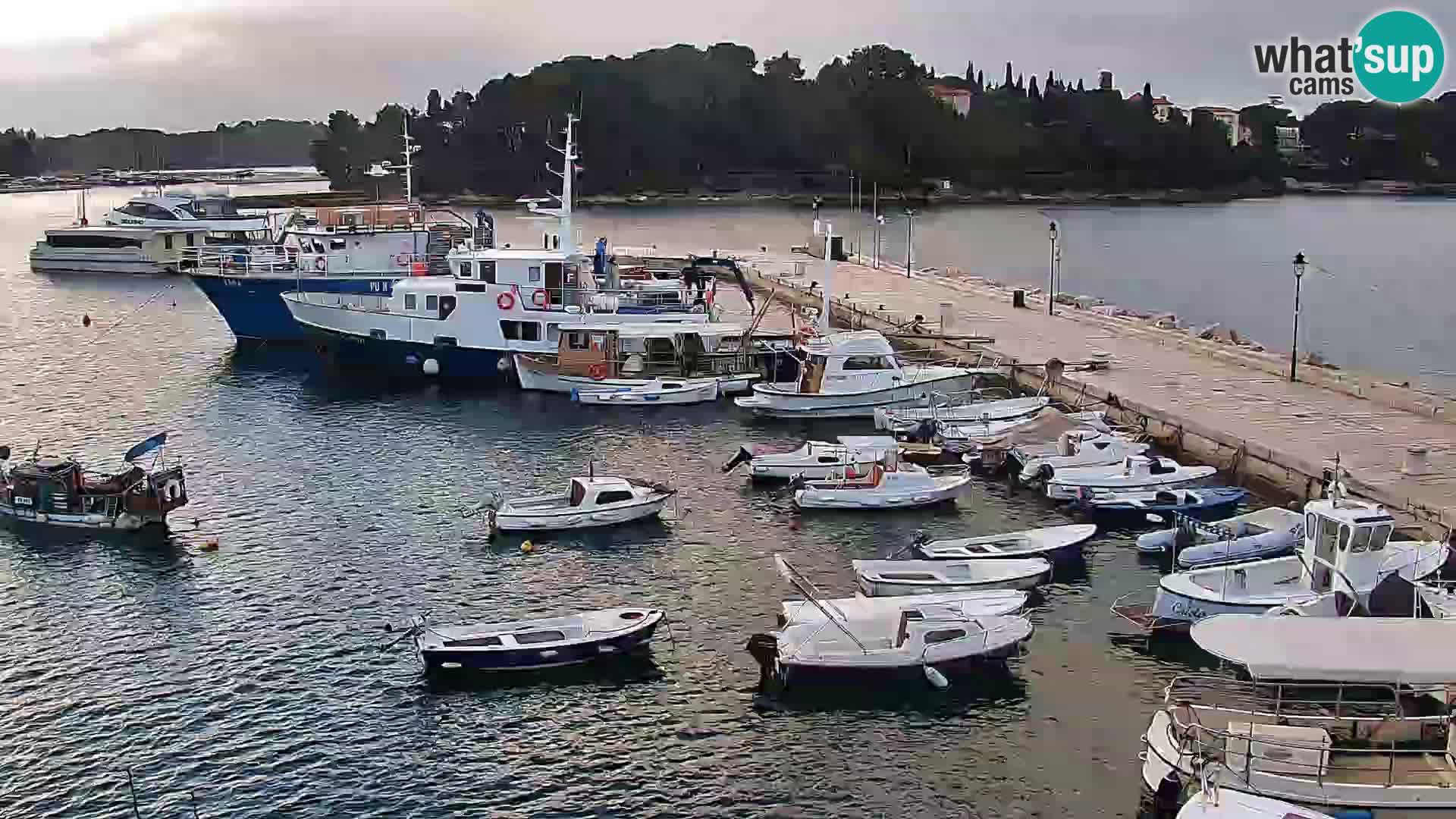 Rovinj webcam promenade and marina – Istria – Croatia