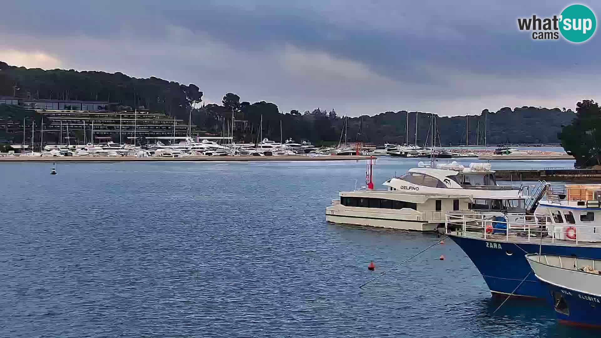 Spletna kamera Rovinj promenada in marina | Rovinj Vreme