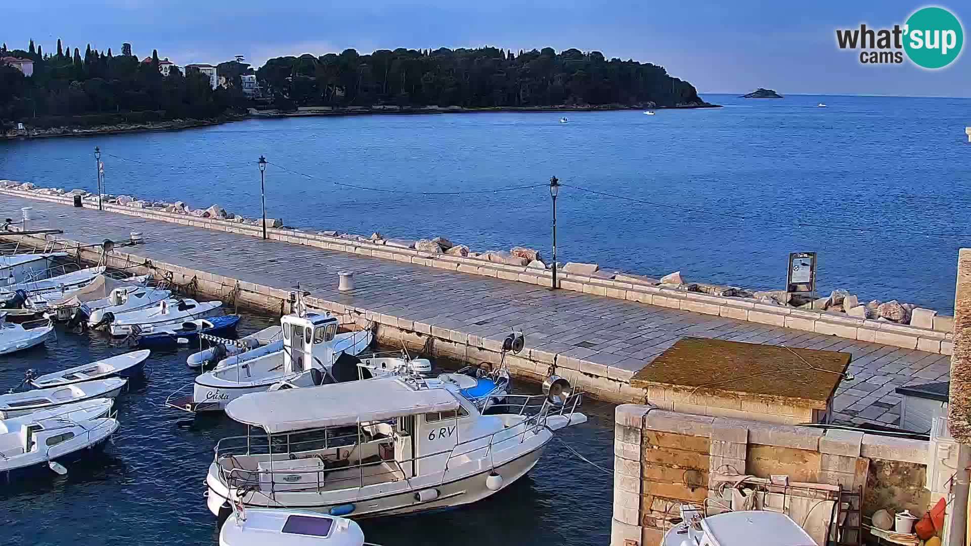 Promenade e marina en Rovinj