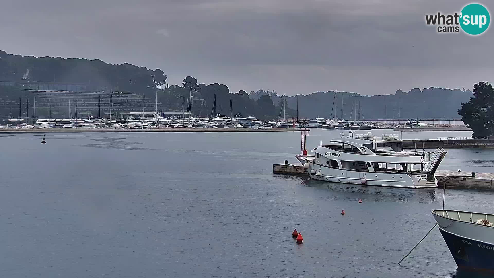 Promenada i marina u Rovinju