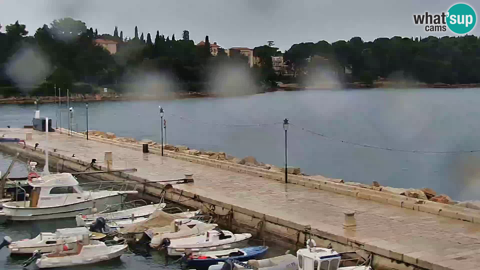 Promenade e marina a Rovinj