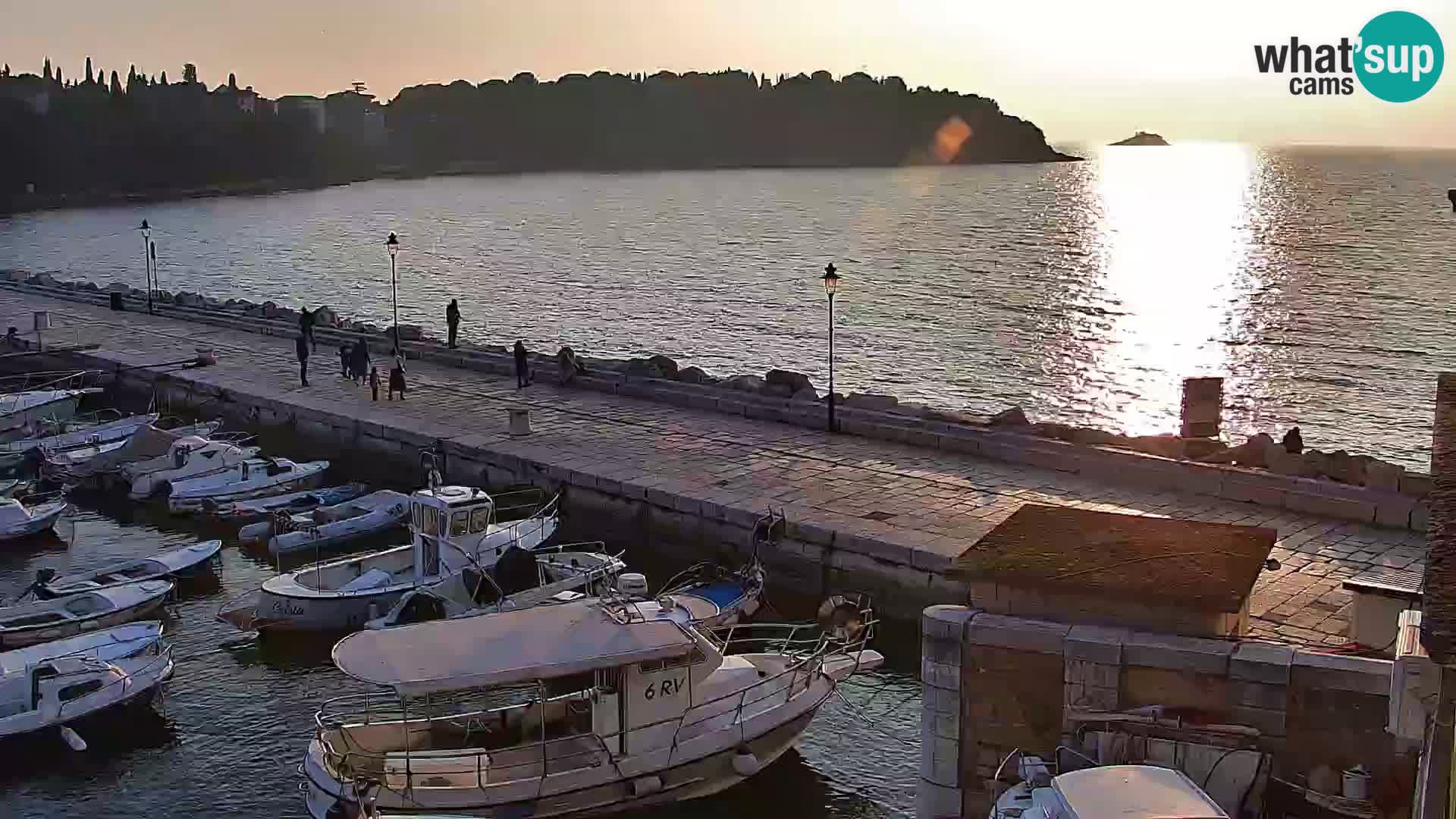 Webcam Rovigno marina | Lungomare | Rovinj Croazia