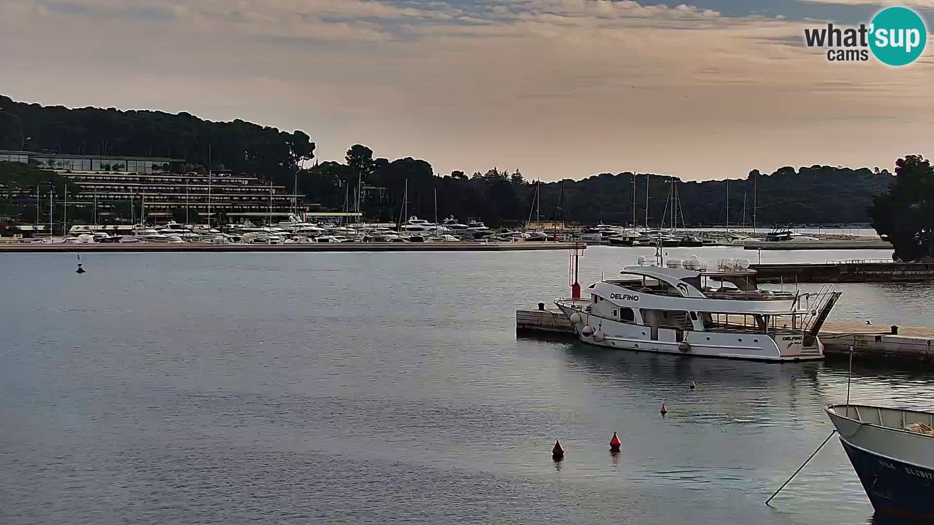 Webcam Rovigno marina | Lungomare | Rovinj Croazia