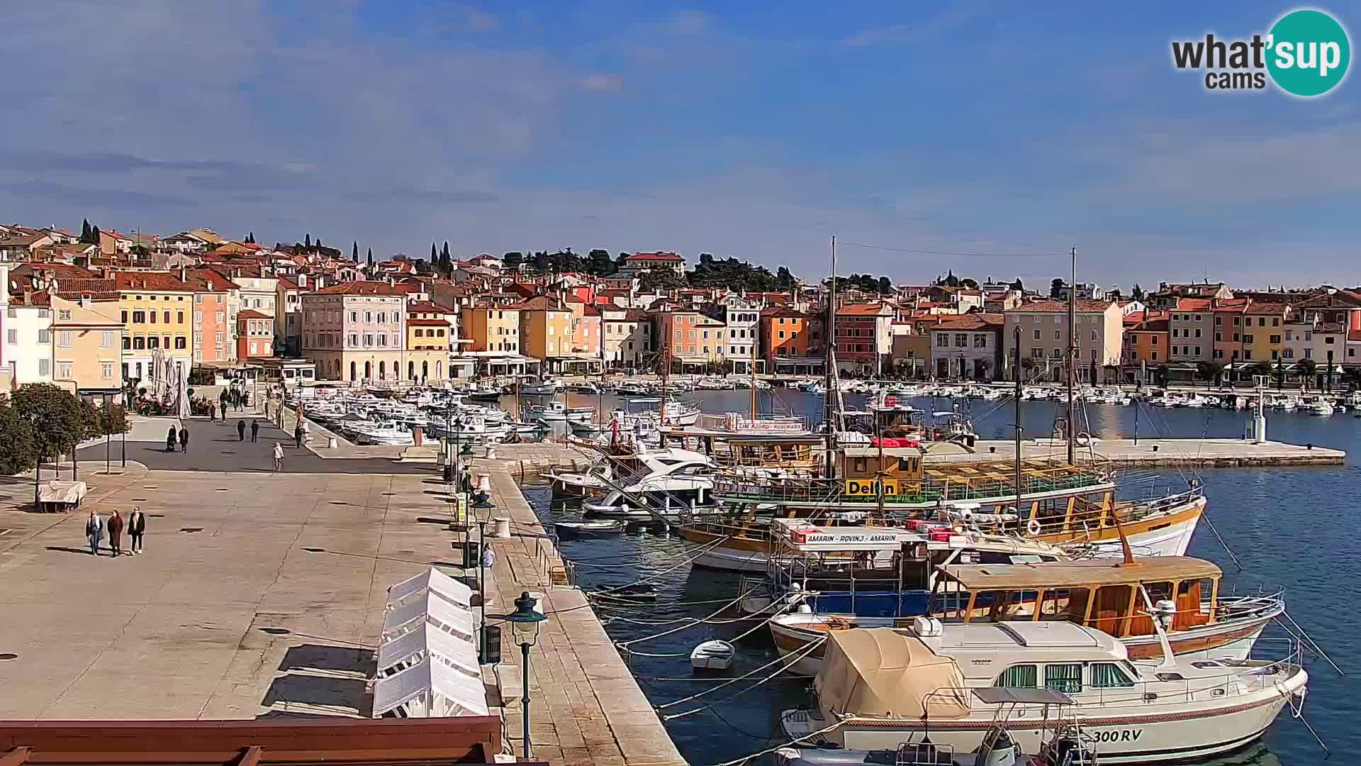 Rovinj webcam promenade and marina – Istria – Croatia