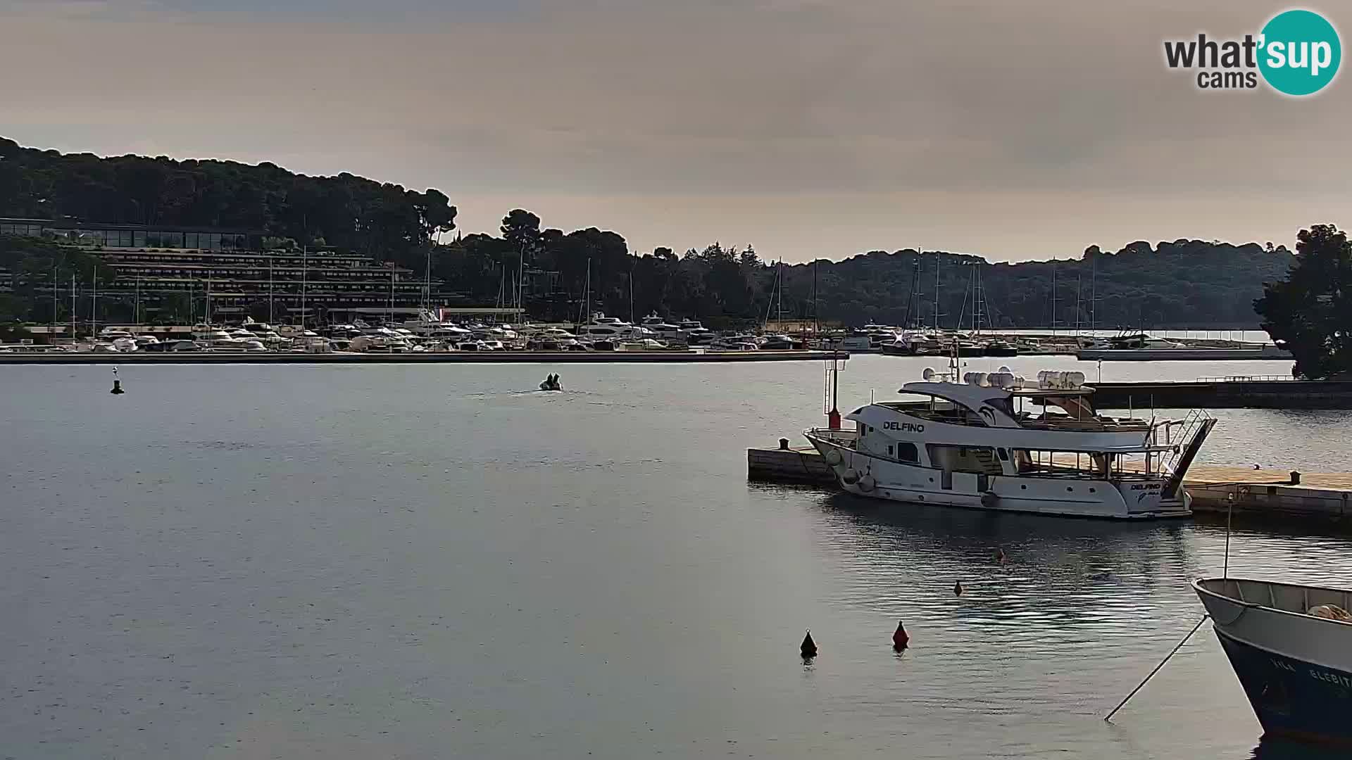 Webcam Rovigno marina | Lungomare | Rovinj Croazia