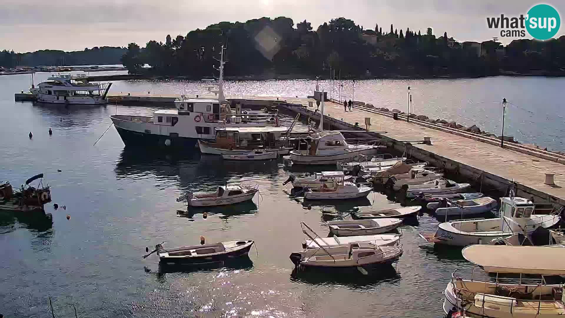 Rovinj webcam promenade and marina – Istria – Croatia