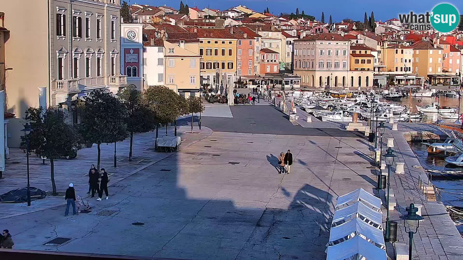 Webcam Rovigno marina | Lungomare | Rovinj Croazia