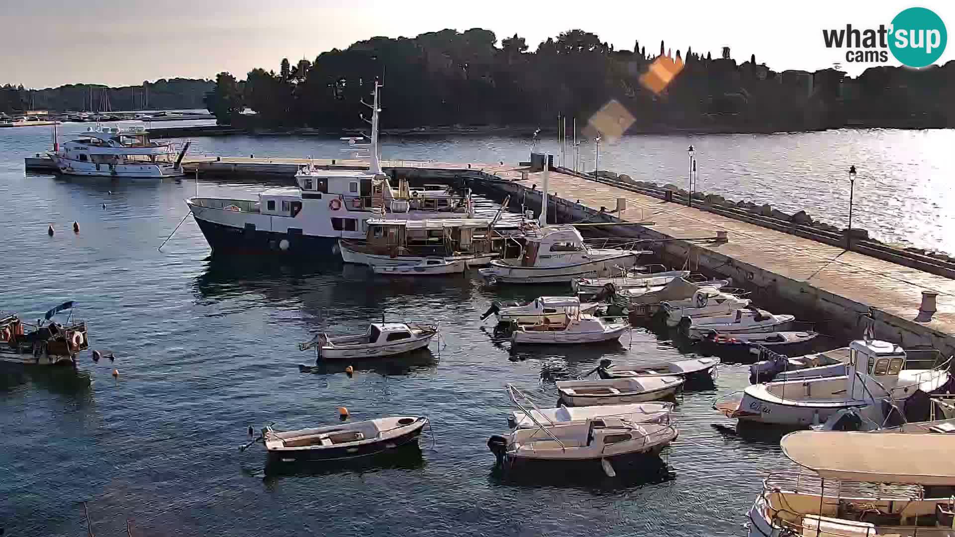 Spletna kamera Rovinj promenada in marina | Rovinj Vreme