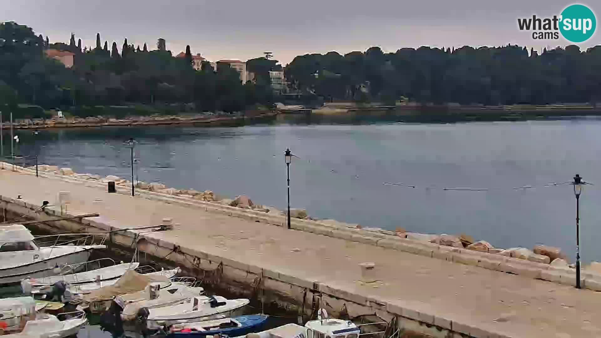 Promenade e marina en Rovinj