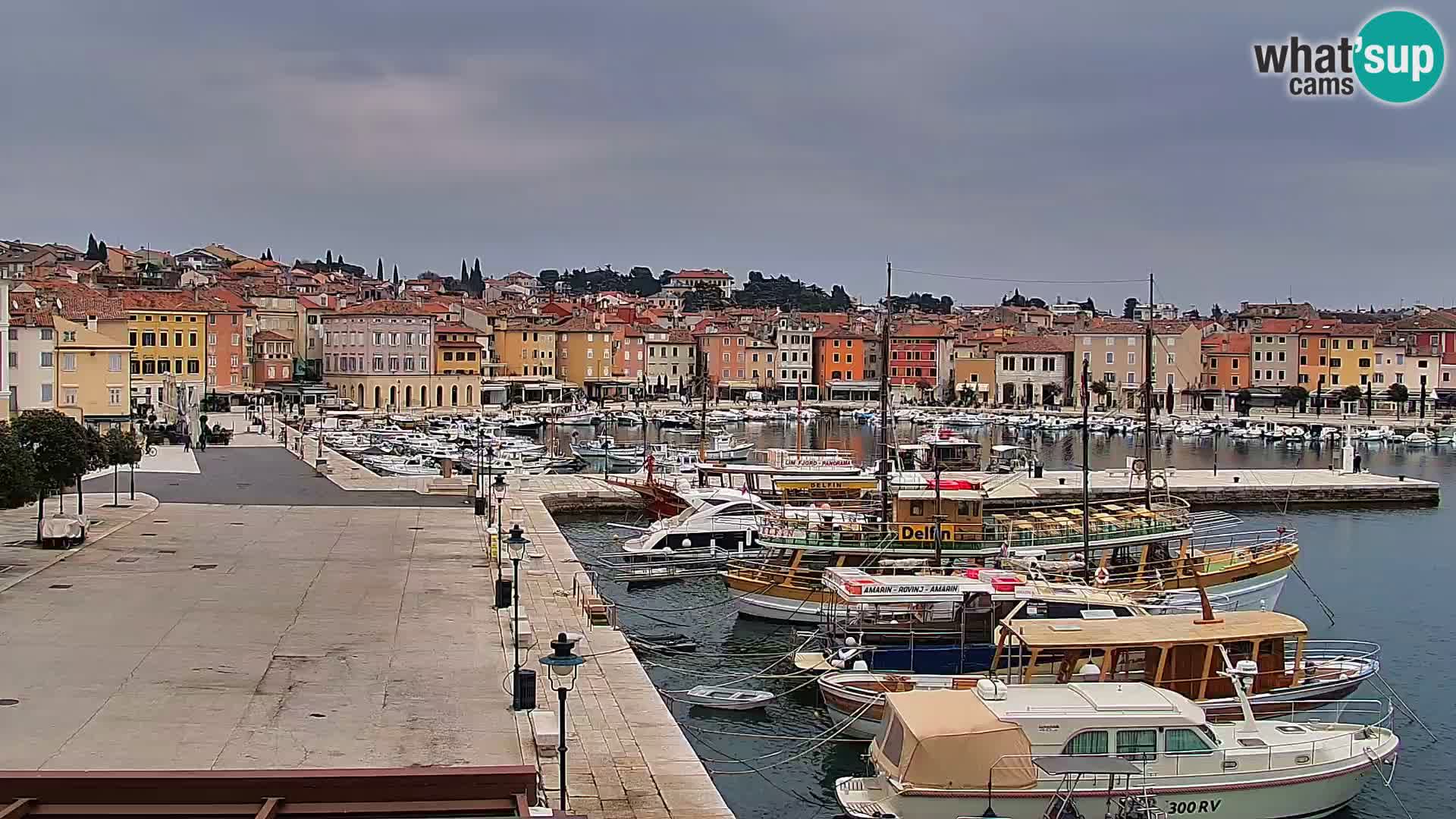 Promenade e marina en Rovinj