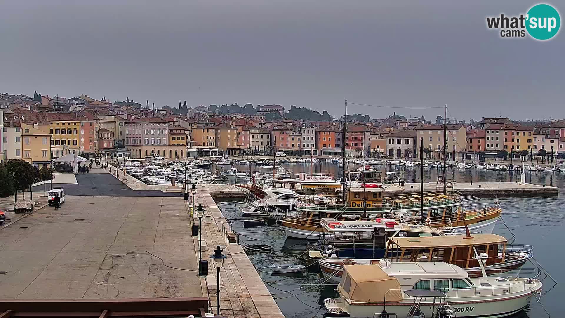 Rovinj webcam promenade and marina – Istria – Croatia