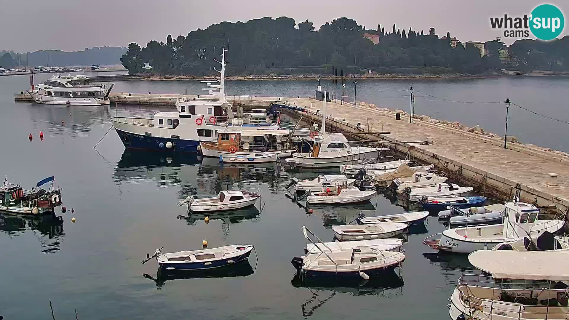 Rovinj webcam promenade and marina – Istria – Croatia