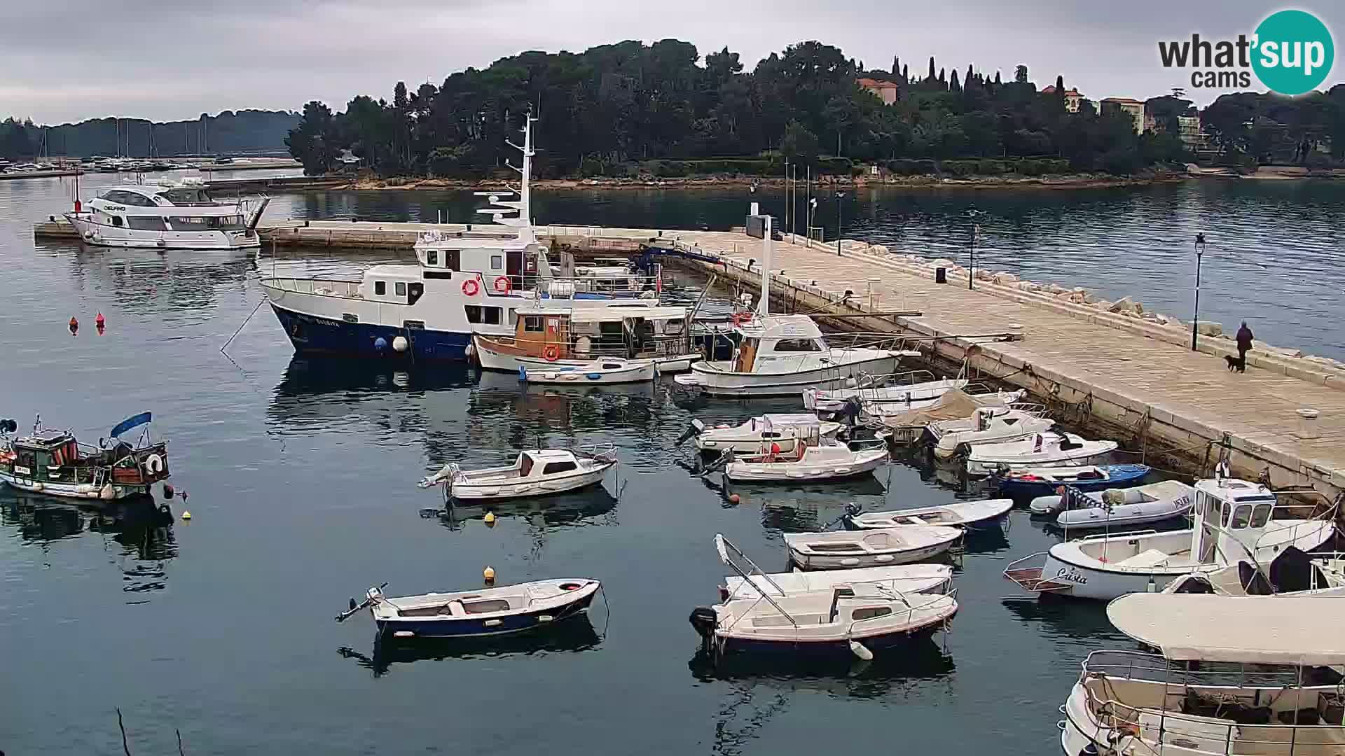 Webcam Rovigno marina | Lungomare | Rovinj Croazia