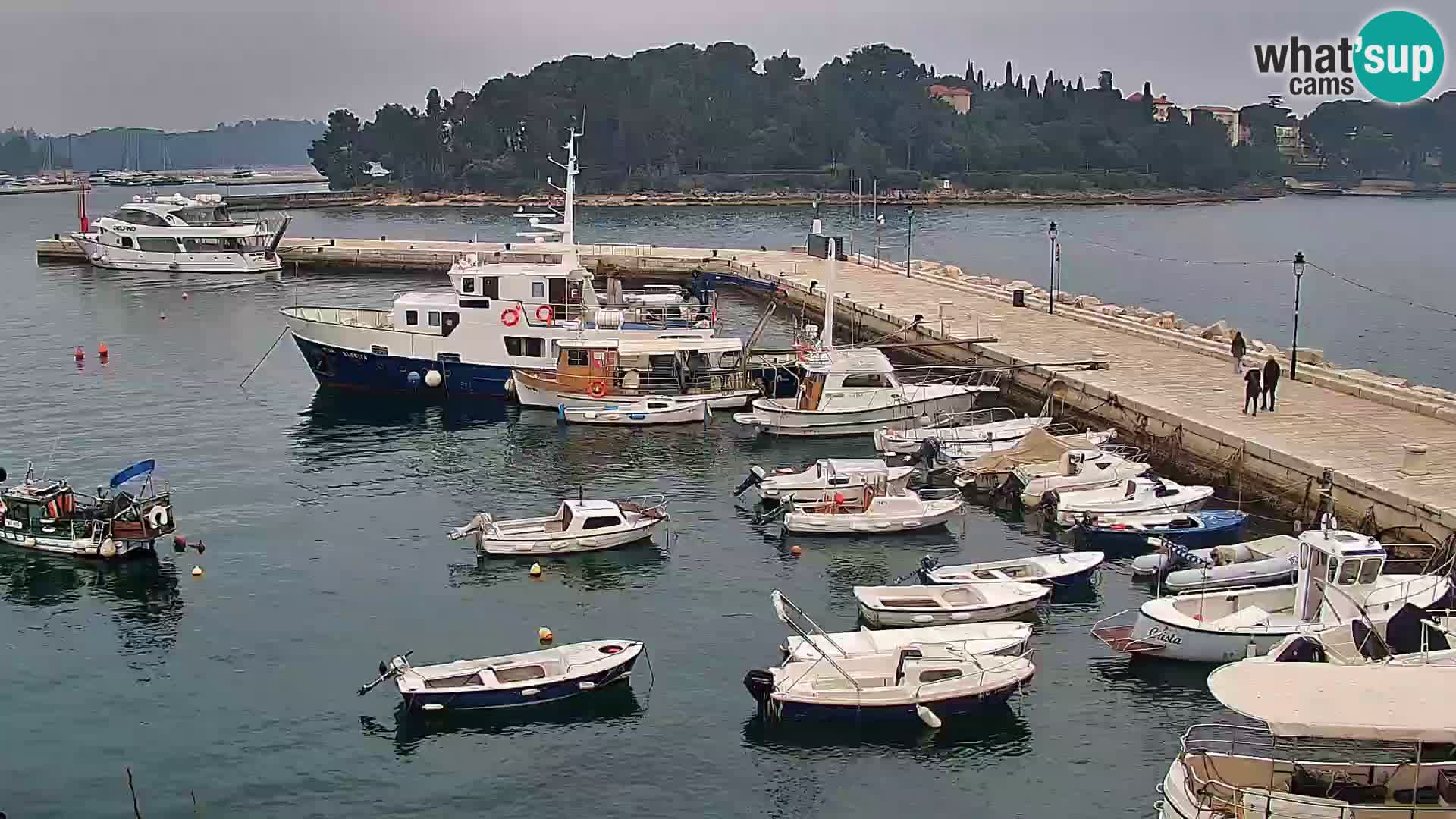 Spletna kamera Rovinj promenada in marina | Rovinj Vreme