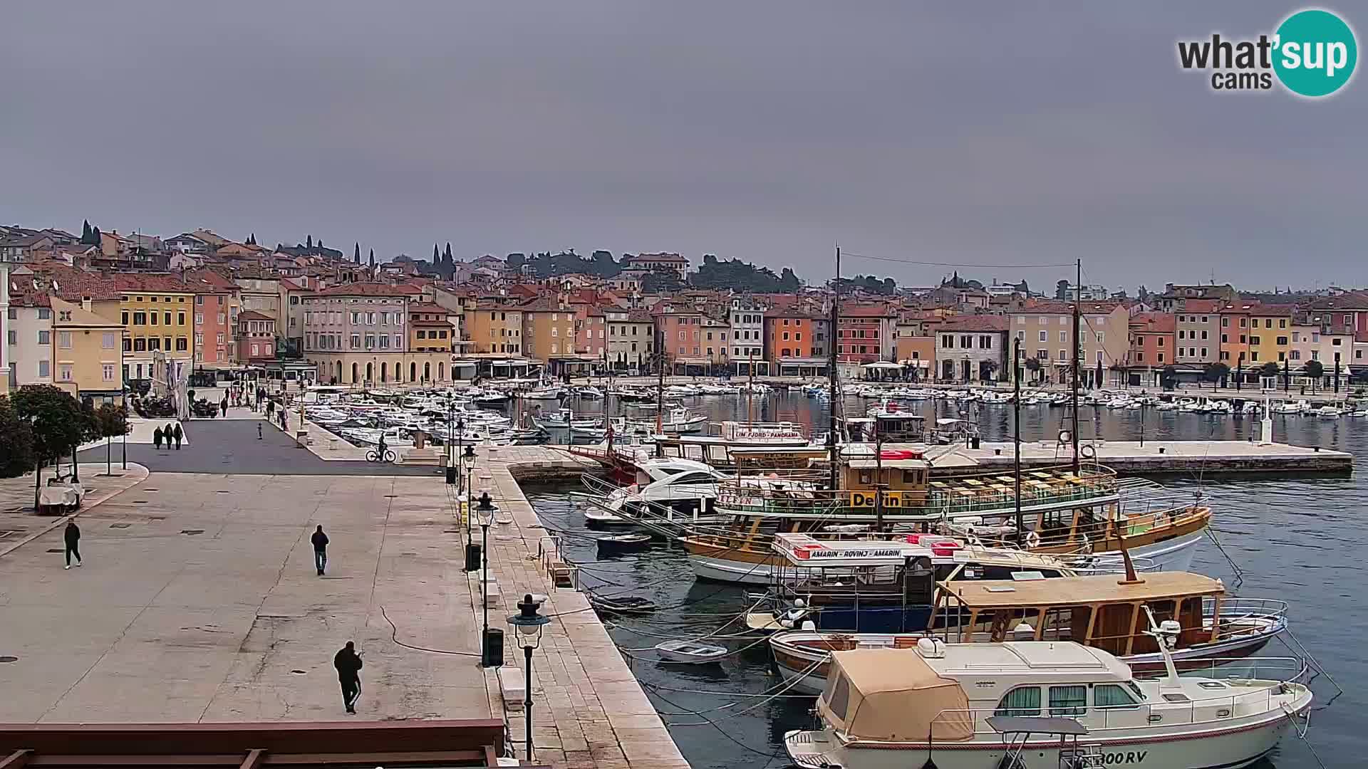 Rovinj webcam promenade and marina – Istria – Croatia