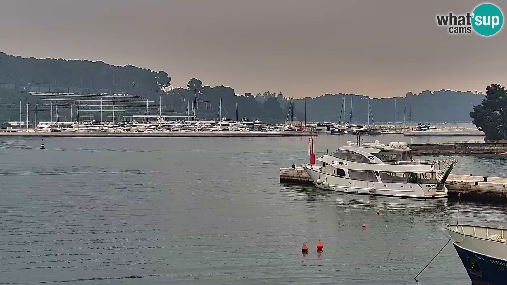 Promenade e marina en Rovinj