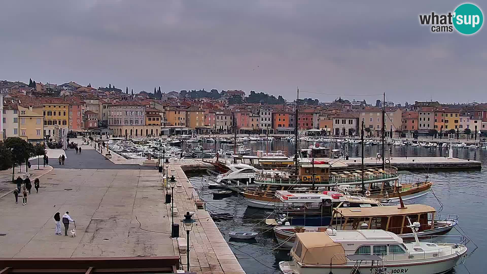 Spletna kamera Rovinj promenada in marina | Rovinj Vreme