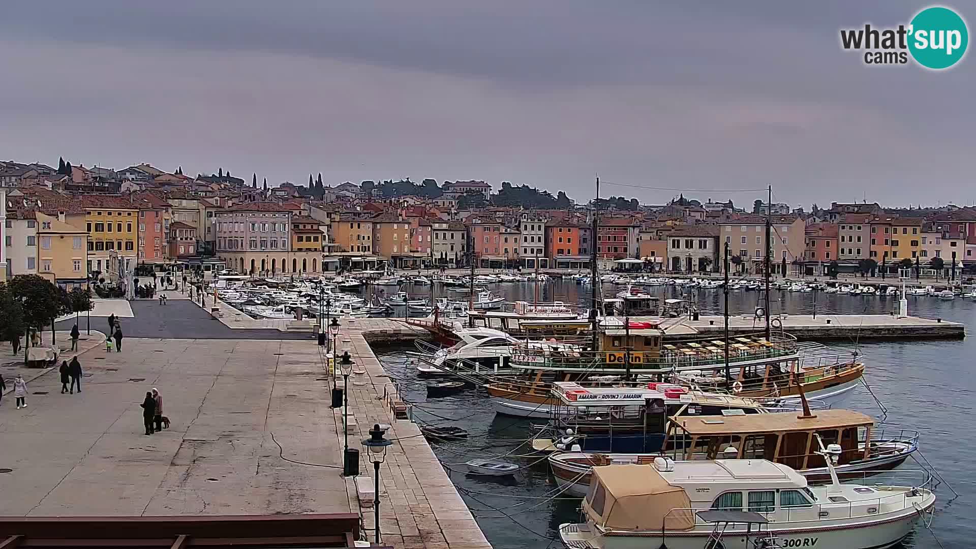 Webcam Rovigno marina | Lungomare | Rovinj Croazia