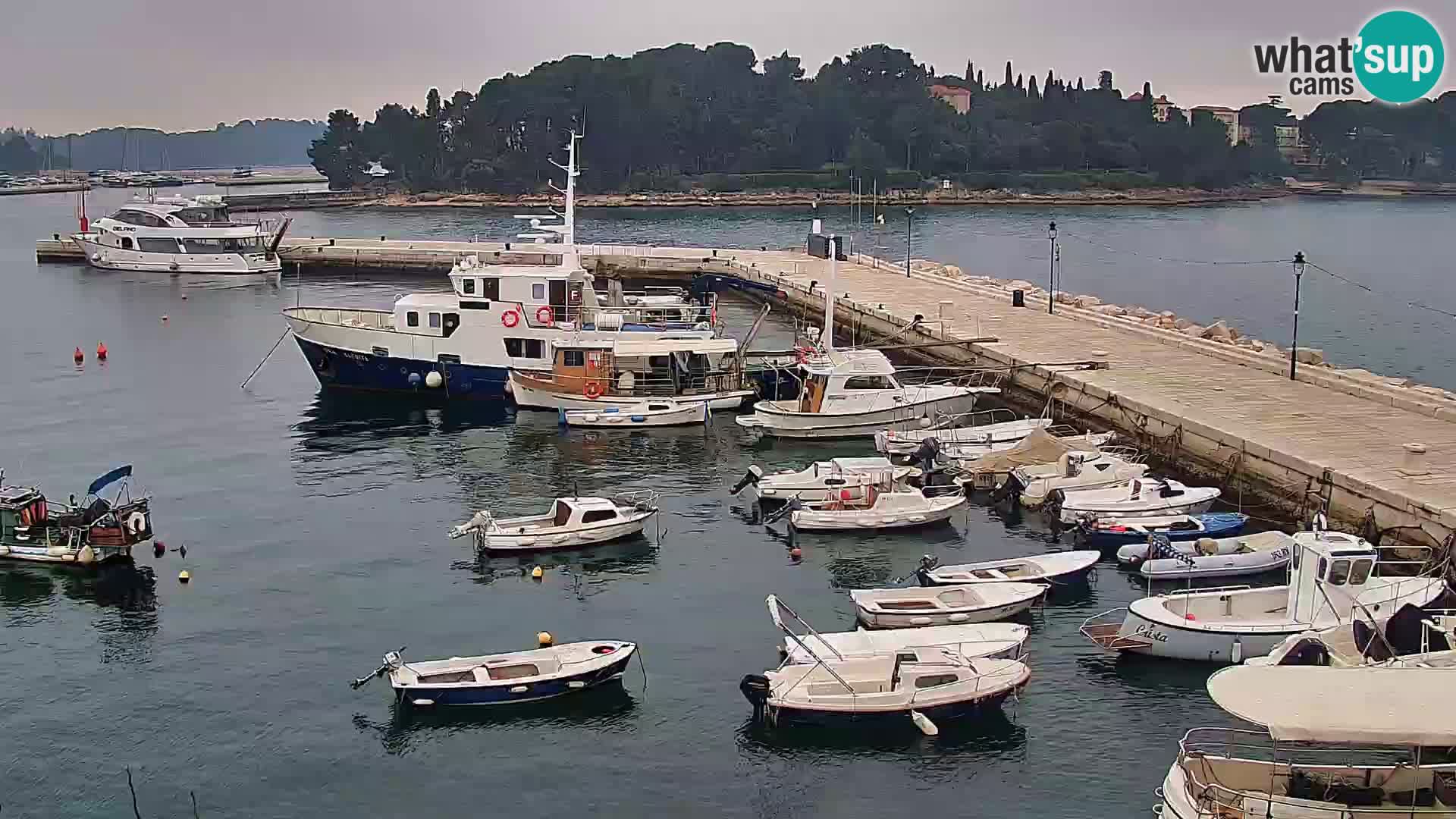 Webcam Rovigno marina | Lungomare | Rovinj Croazia