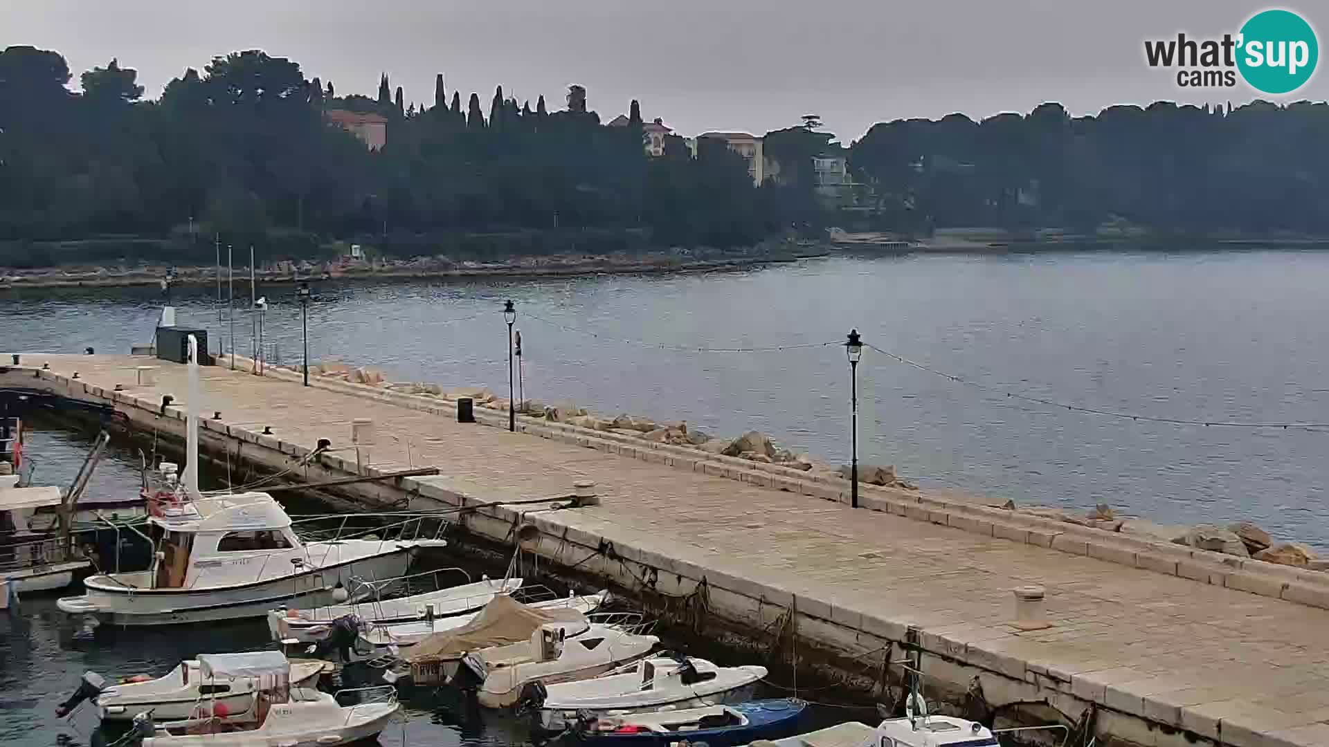 Webcam Rovinj Promenade – Istrien – Kroatien