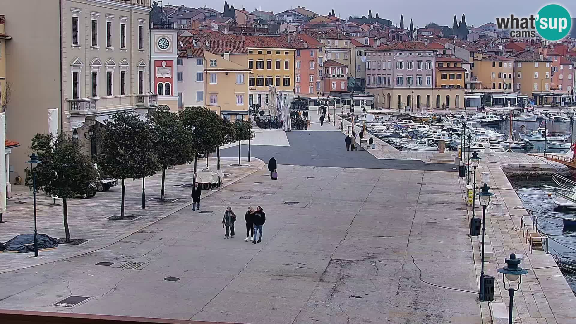 Webcam Rovigno marina | Lungomare | Rovinj Croazia