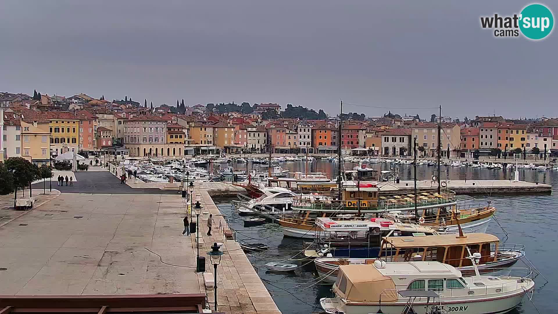 Webcam Rovigno marina | Lungomare | Rovinj Croazia