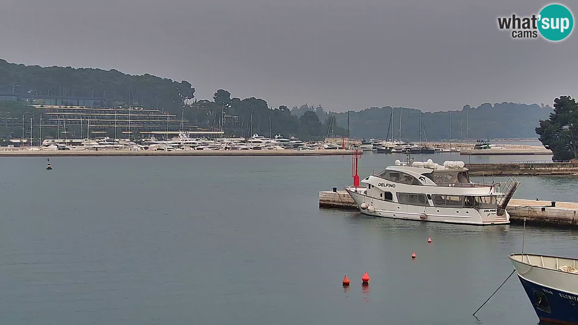 Spletna kamera Rovinj promenada in marina | Rovinj Vreme