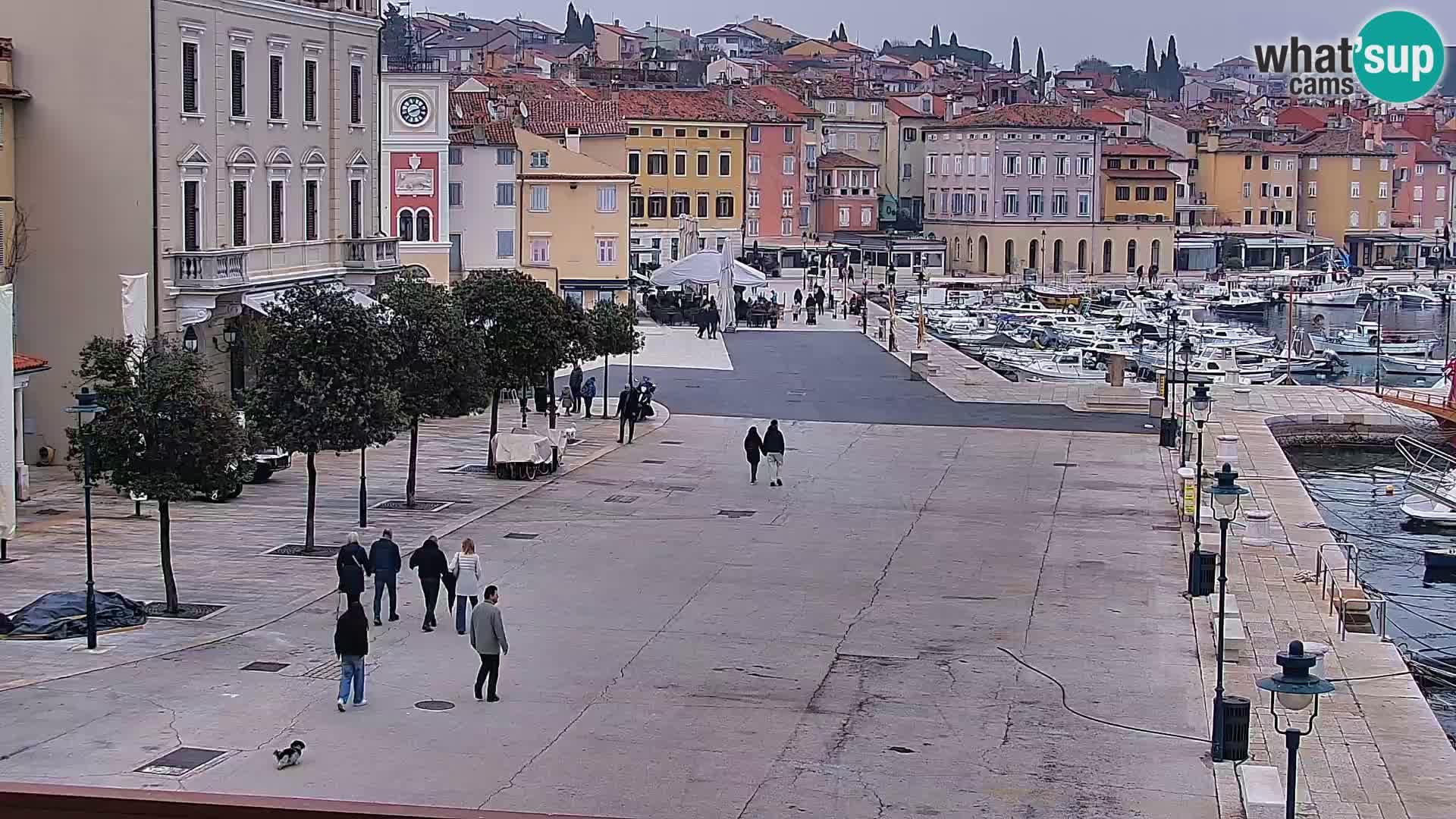 Webcam Rovigno marina | Lungomare | Rovinj Croazia