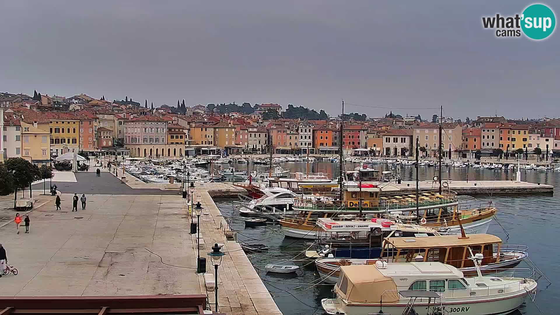 Webcam Rovigno marina | Lungomare | Rovinj Croazia