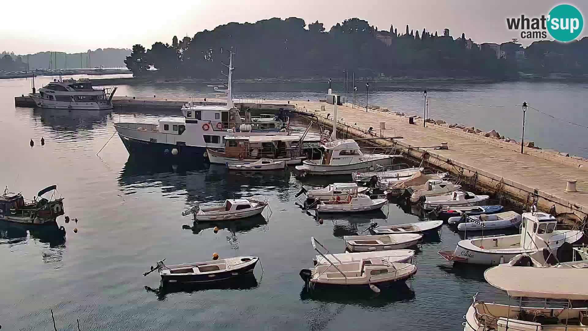 Rovinj webcam promenade and marina – Istria – Croatia