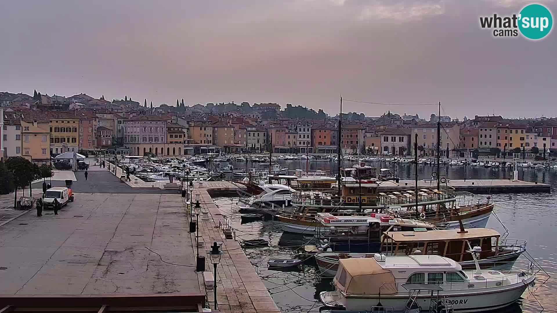 Rovinj webcam promenade and marina – Istria – Croatia