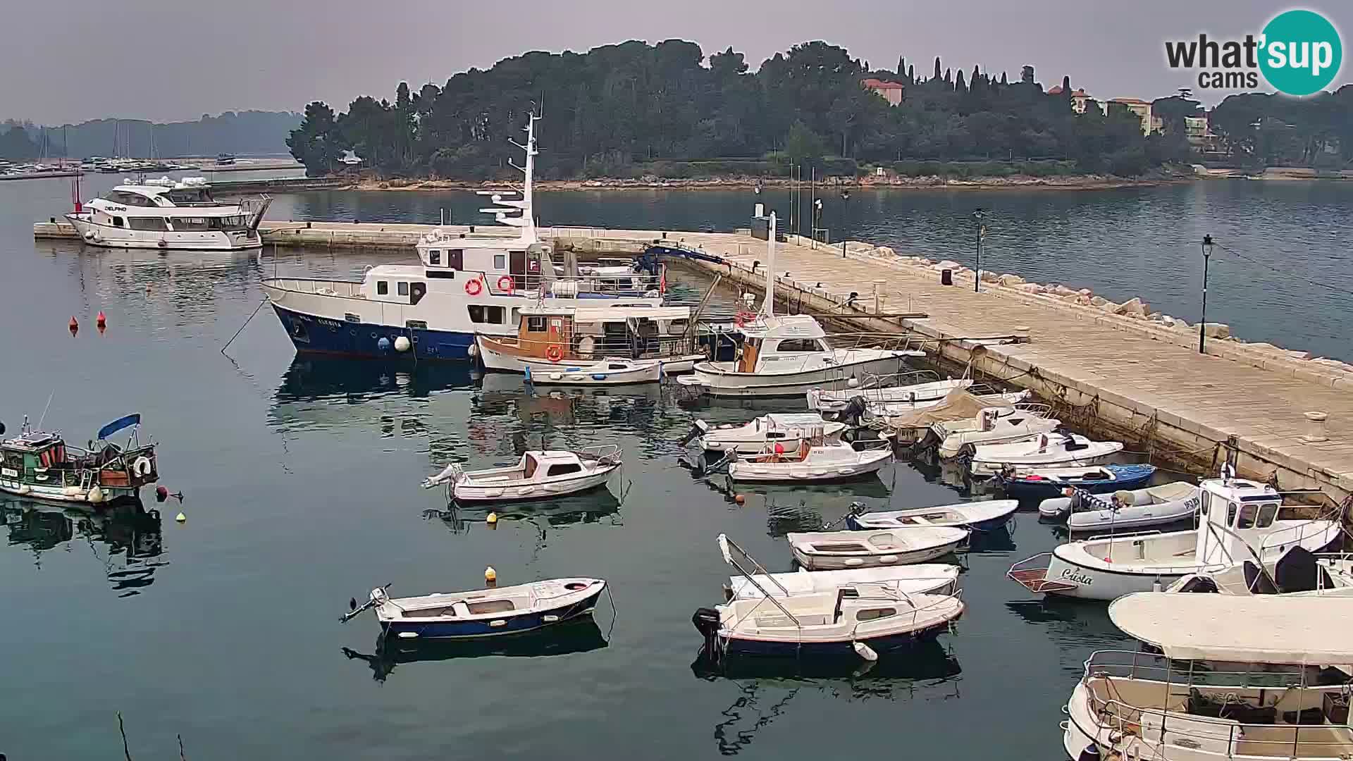 Rovinj webcam promenade and marina – Istria – Croatia