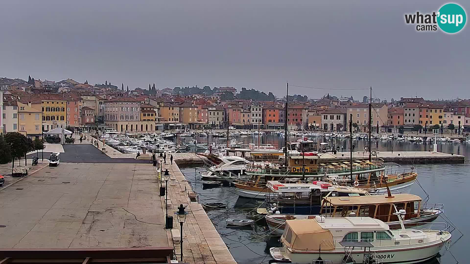 Promenada i marina u Rovinju