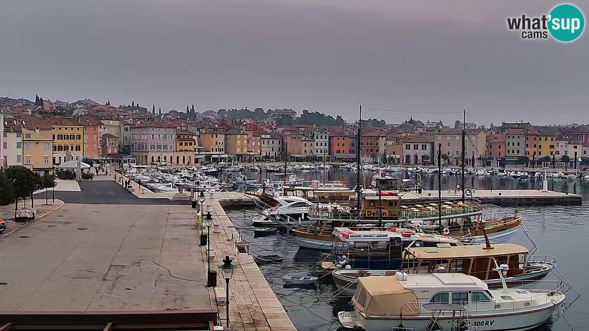 Promenada i marina u Rovinju