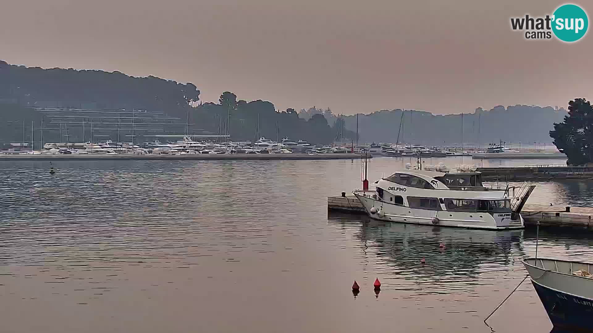 Webcam Rovigno marina | Lungomare | Rovinj Croazia