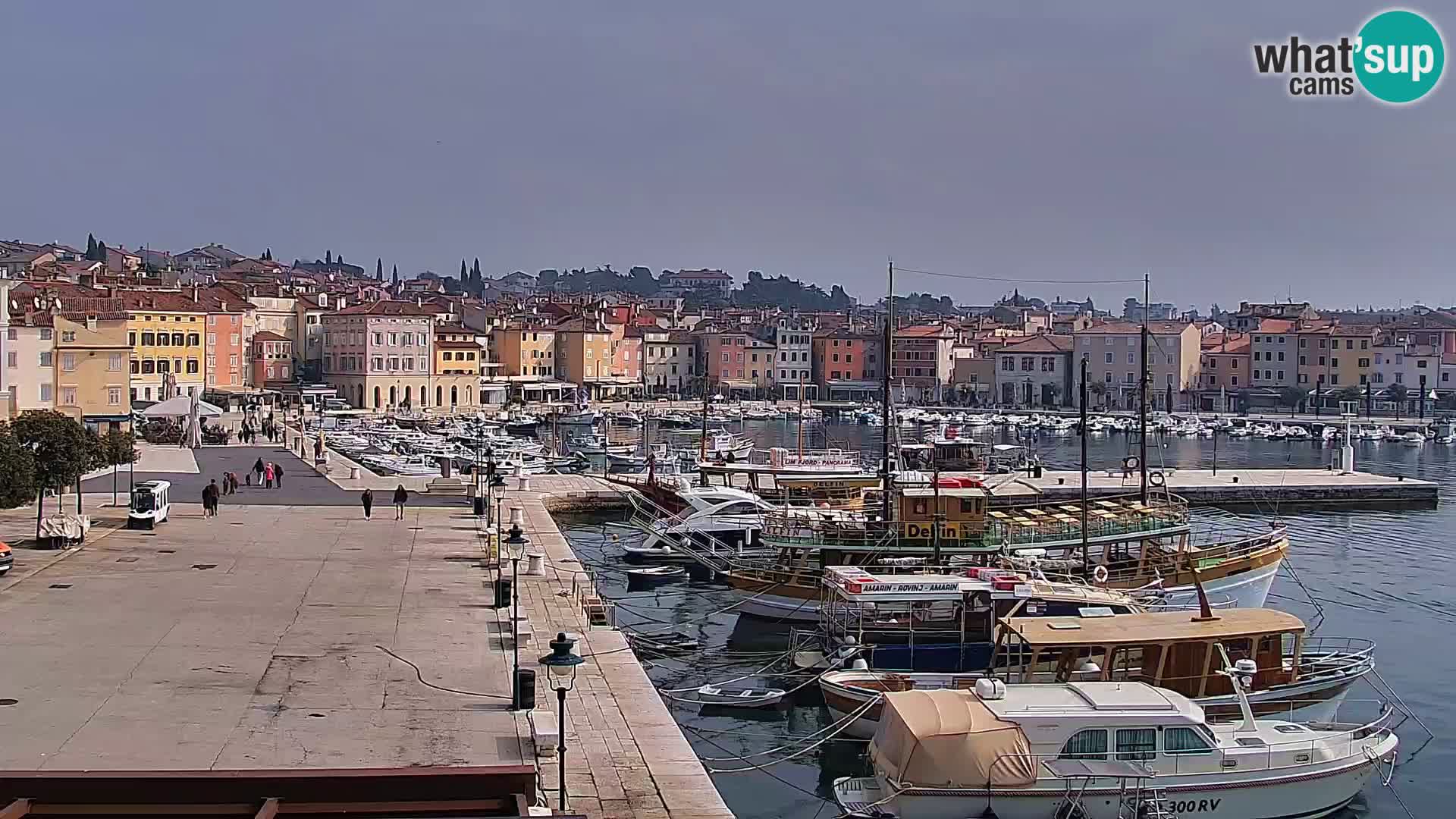 Promenade e marina a Rovinj