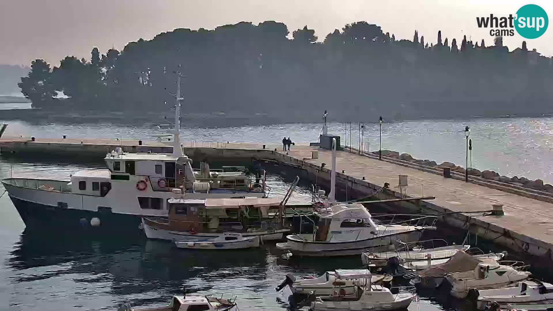 Promenade e marina en Rovinj