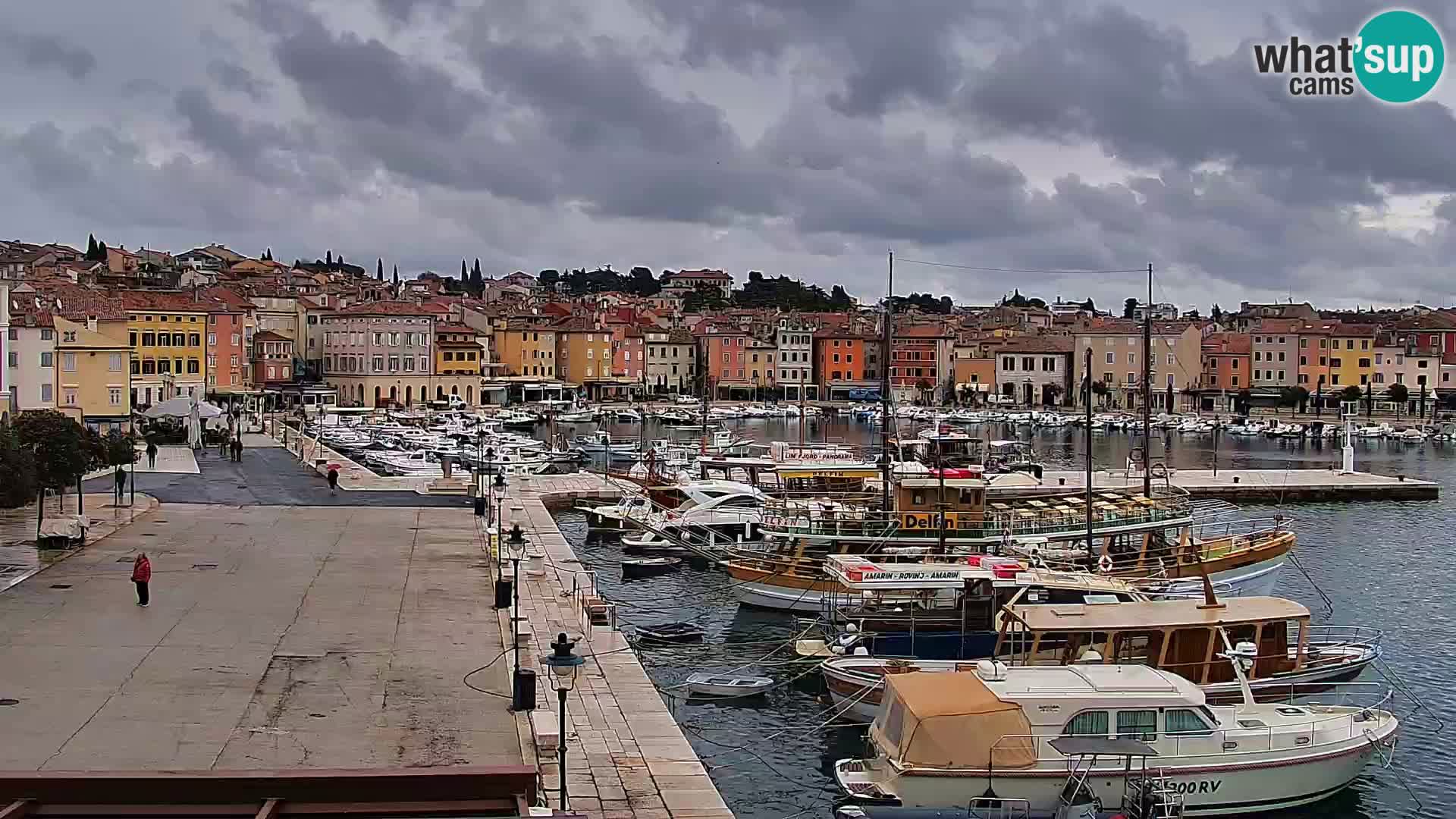 Promenade e marina en Rovinj