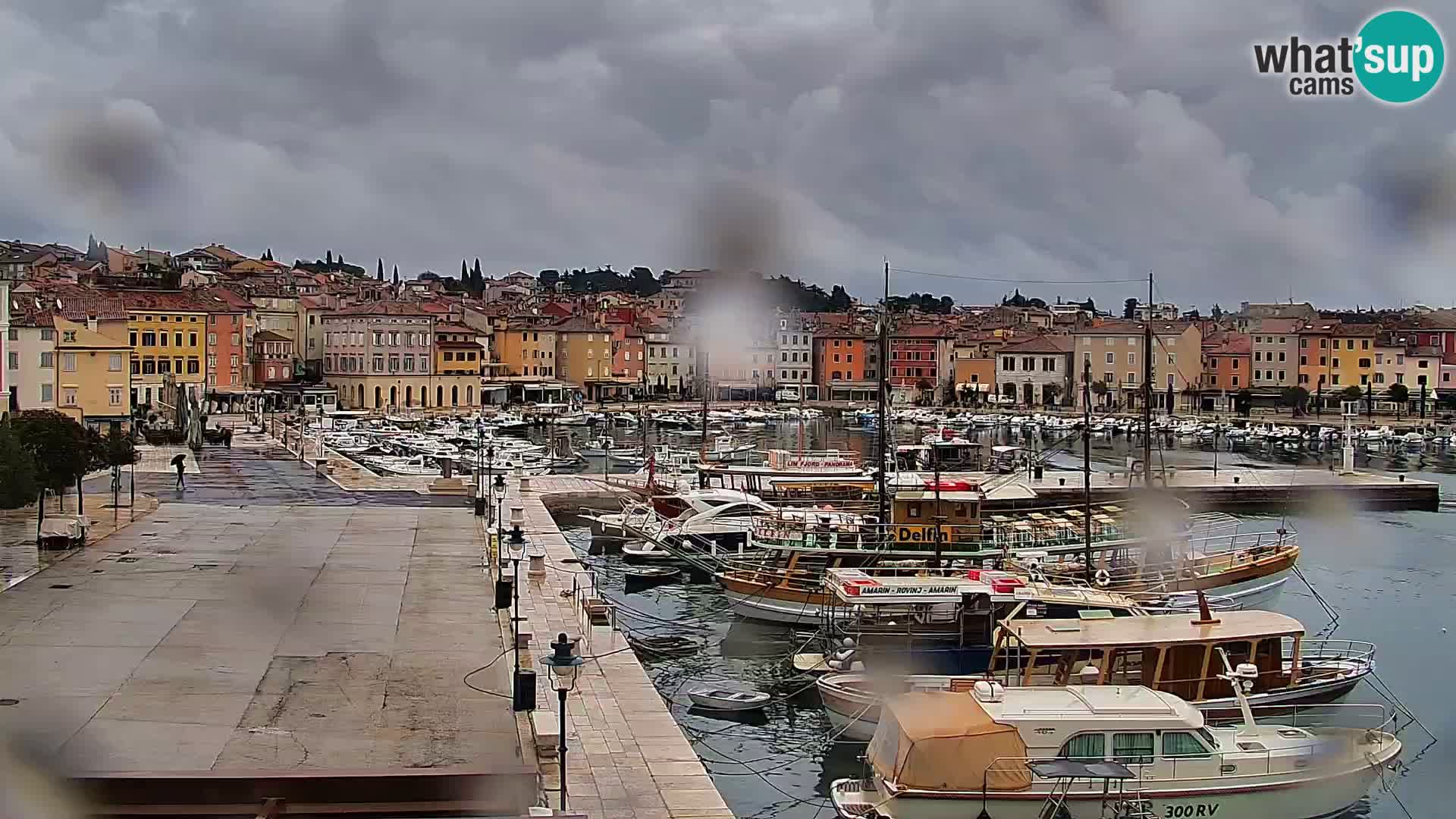 Promenade e marina en Rovinj