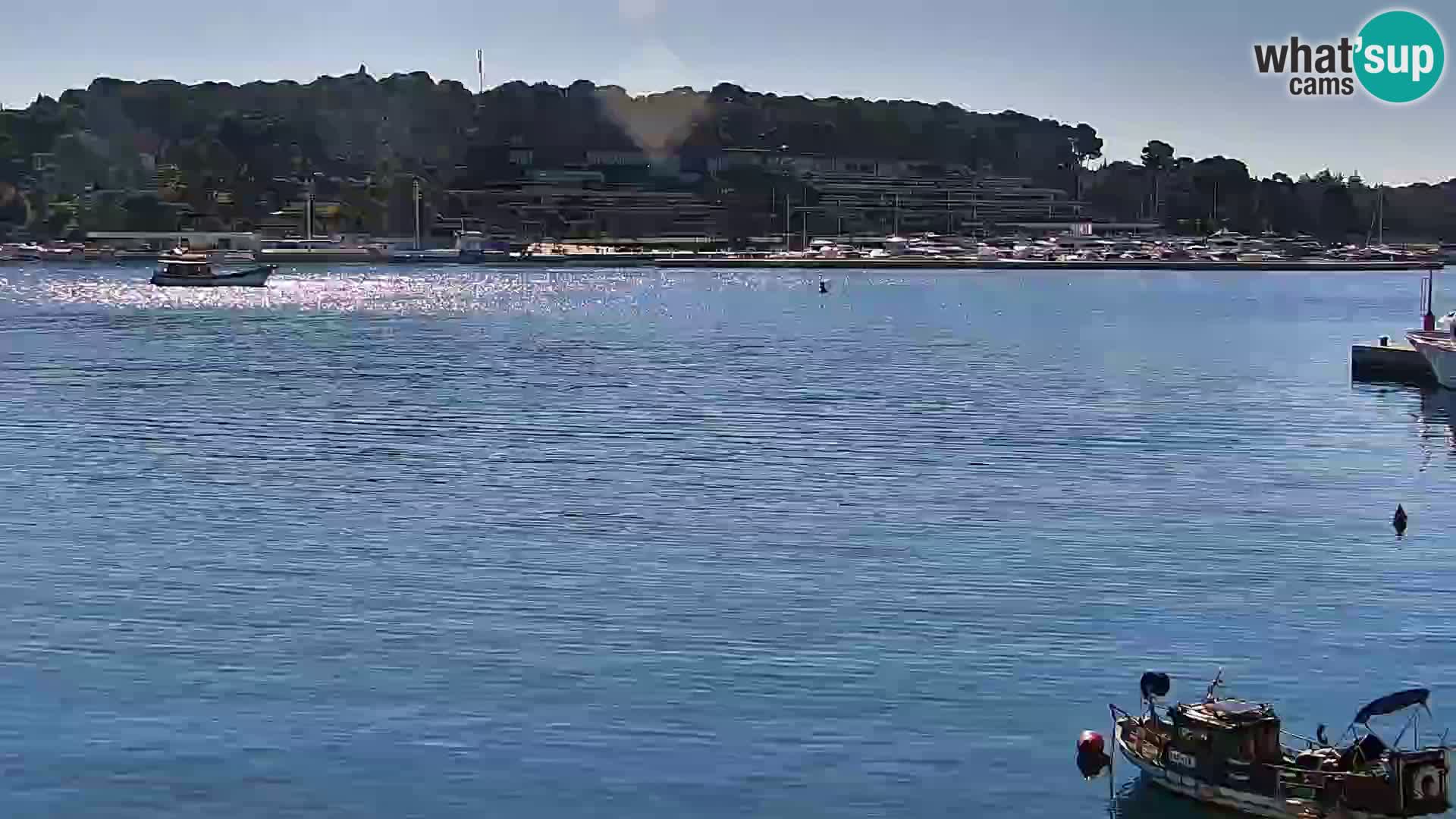 Rovinj webcam promenade and marina – Istria – Croatia