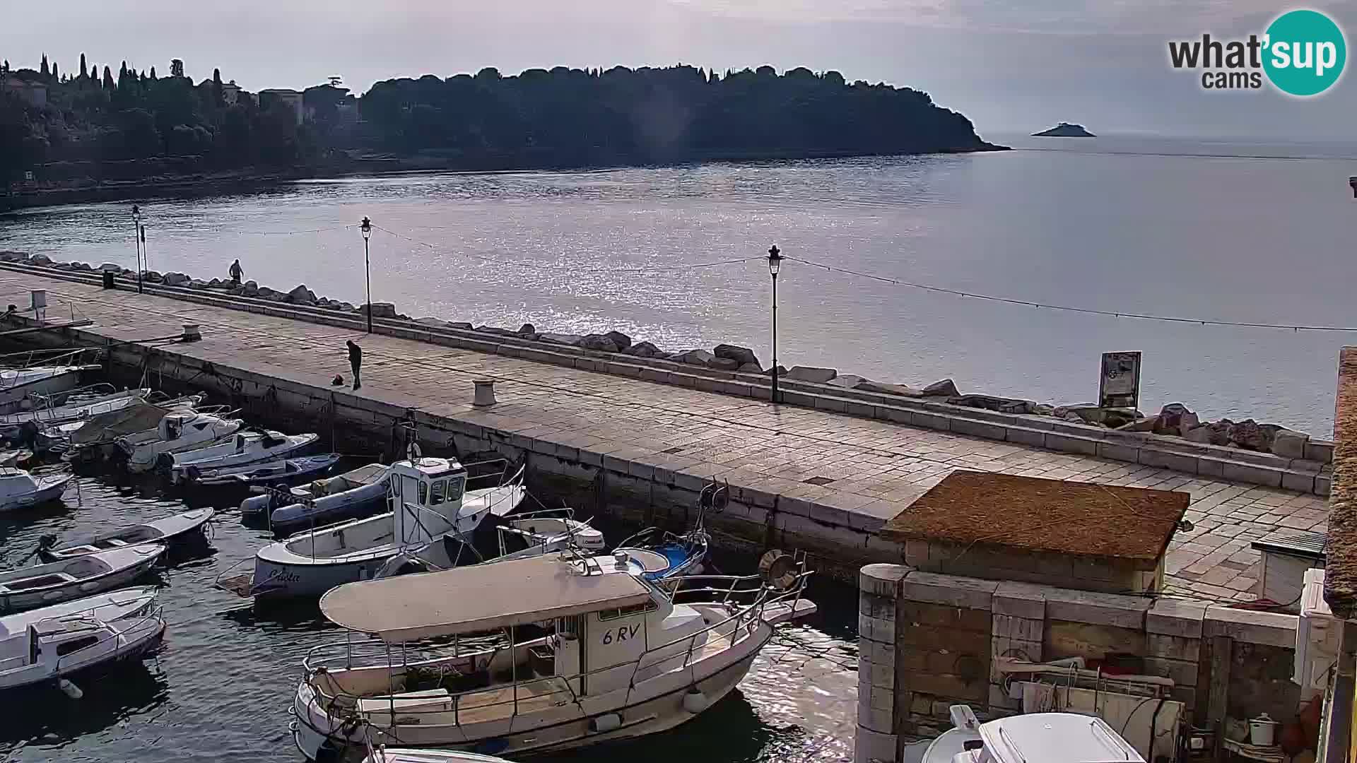 Webcam Rovigno marina | Lungomare | Rovinj Croazia